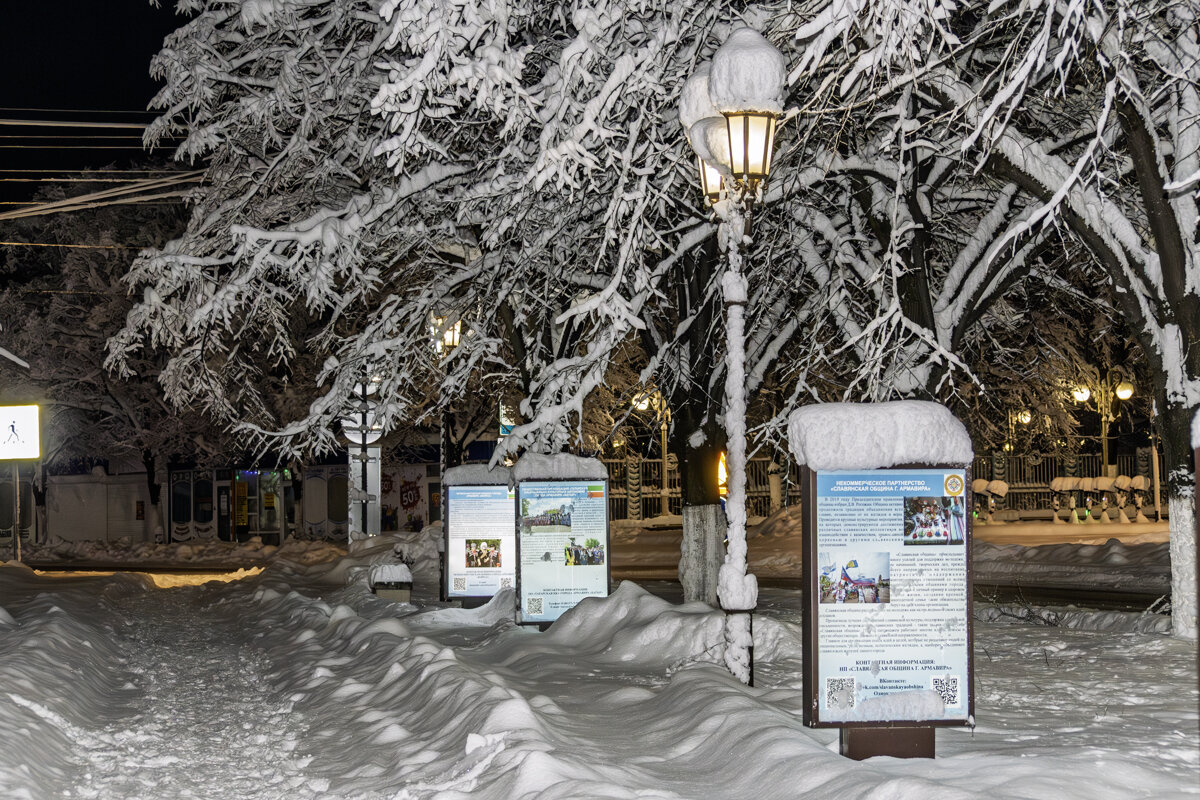 Прогулка по заснеженному городку - Игорь Сикорский