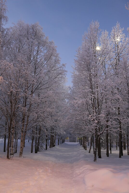 Зимние сумерки - Ольга 