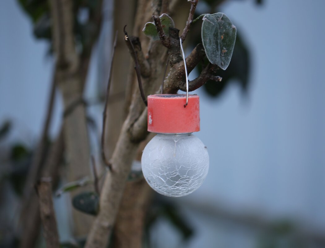 Фонарик замерз - ZNatasha -