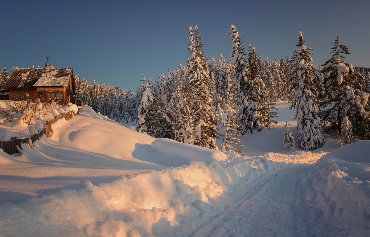 Морозный день - елена беликова