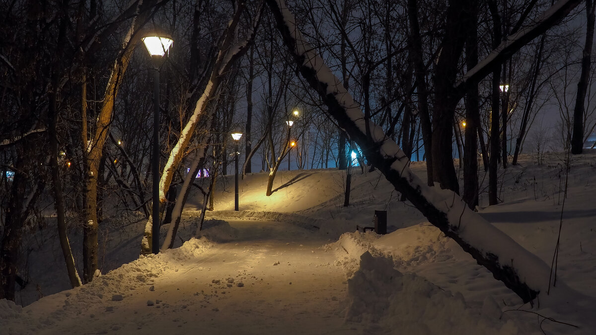 Вечер - юрий поляков