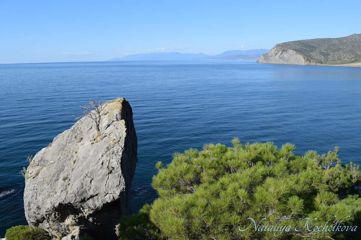 Природа Крыма - Amazing Cosmea
