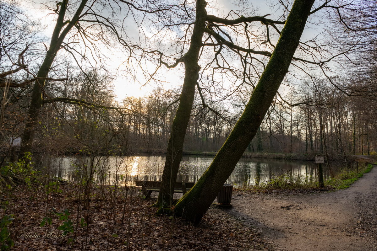 *** - Николай Гирш