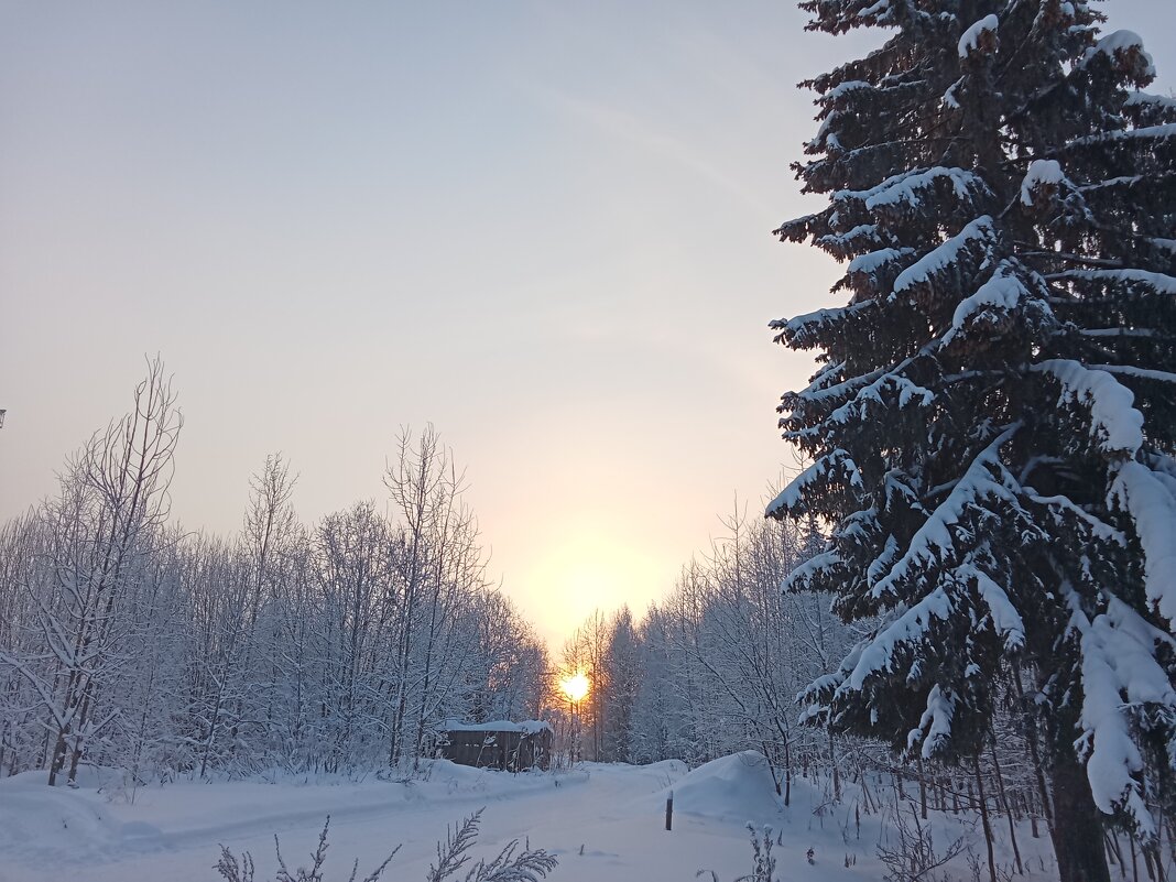 Морозное утро - Виктор 