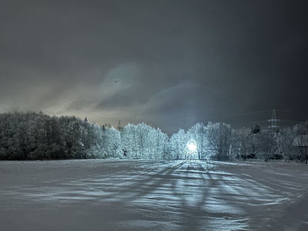Зимний вечер - Ольга Савельева 