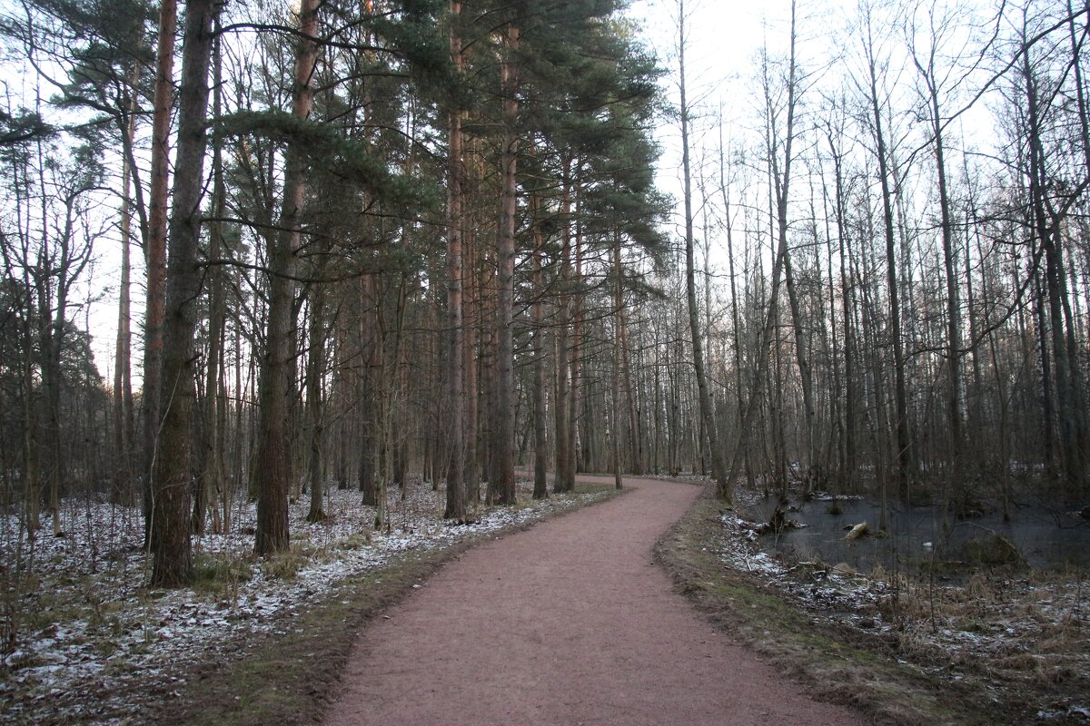Парк Александрия - Наталья Герасимова