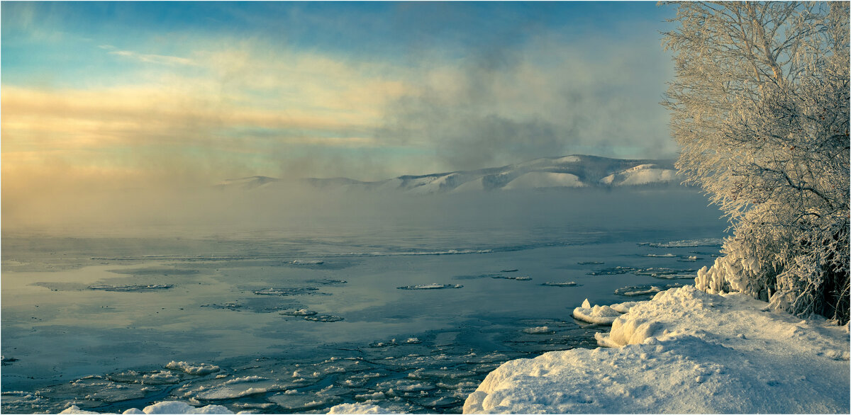 **** - Алексей Мезенцев