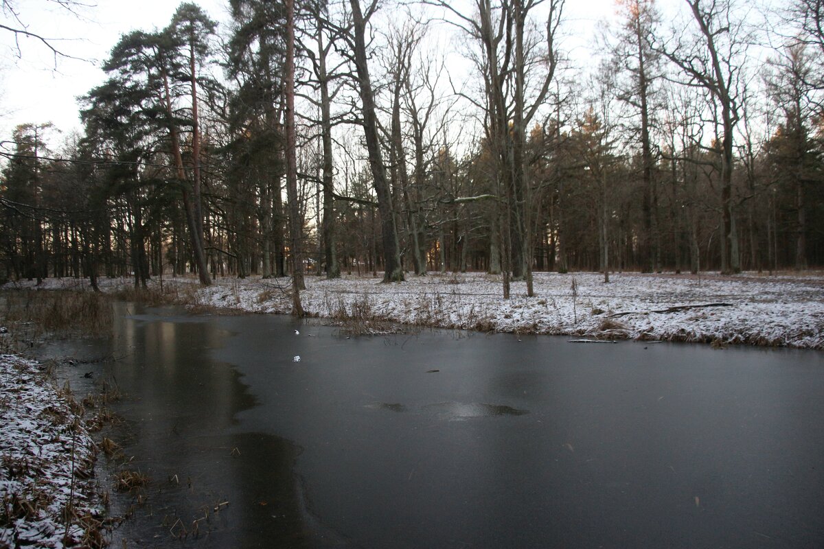 Парк Александрия - Наталья Герасимова