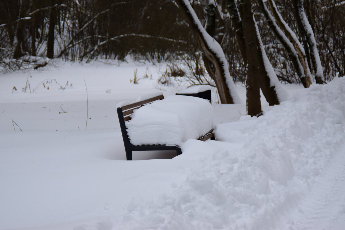 Завалило. - Наталья Вязигина