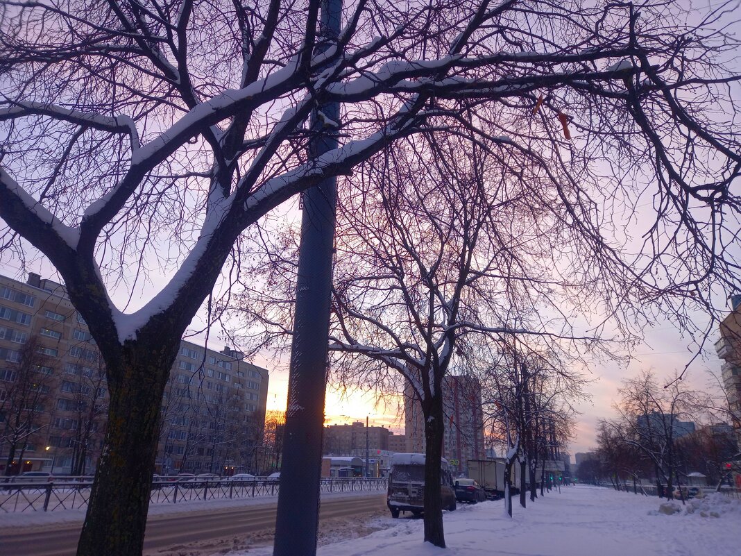 Закат - Сапсан 