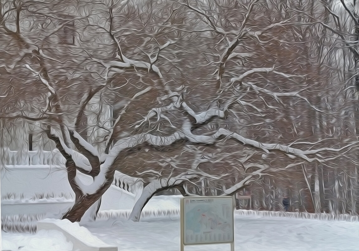 Дерева вы мои, дерева... - Валентина  Нефёдова 