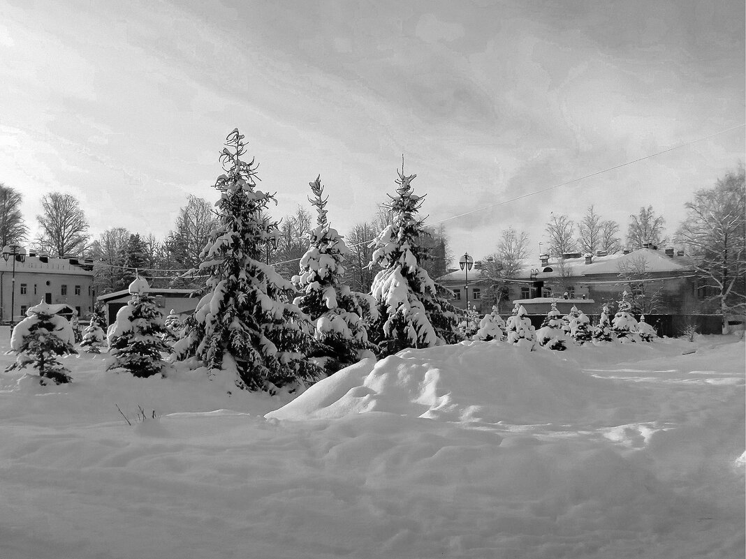 Игра  света   и тени в минус 18 градусов - Фотогруппа Весна