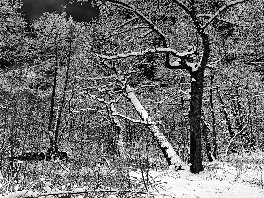 На тему Юрия Левитанского - Victor Vinocurov