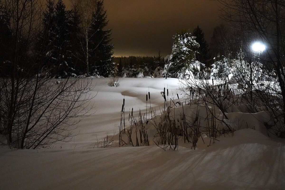 Зима за городом - Татьяна Тюменка Зима за городом - Татьяна Тюменка