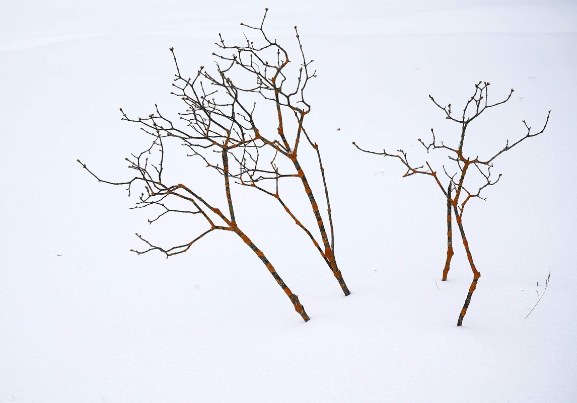 Зима за городом - Татьяна Тюменка