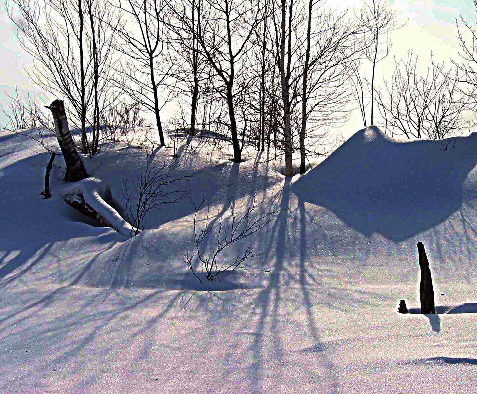 Февраль...На краю поймы протоки Чеускина! - Владимир Февраль...На краю поймы протоки Чеускина! - Владимир