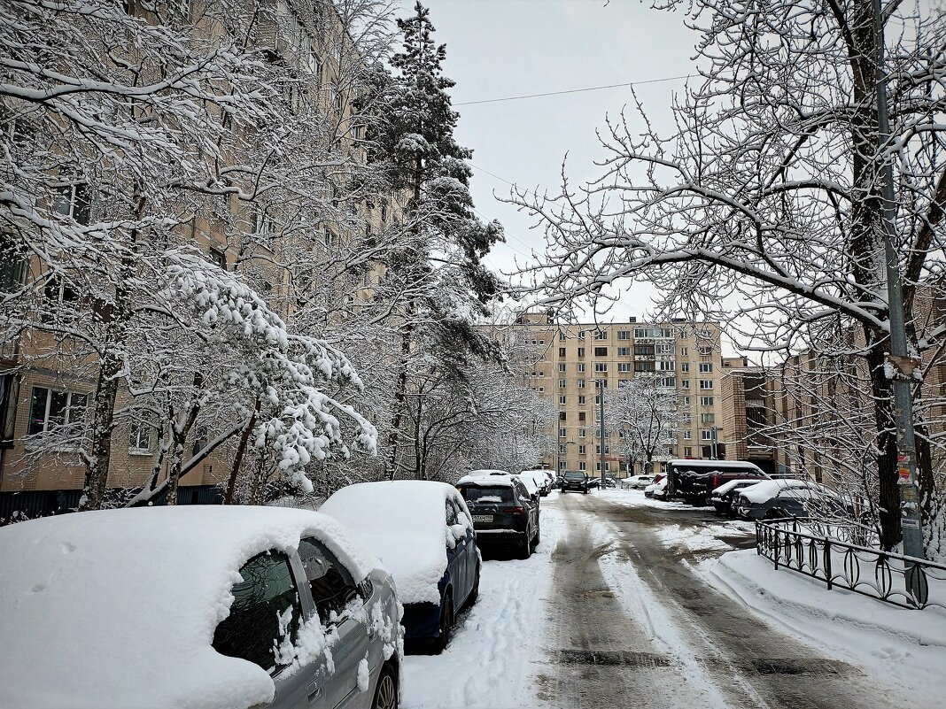 ЗИМНЕЕ - Виктор Никитенко