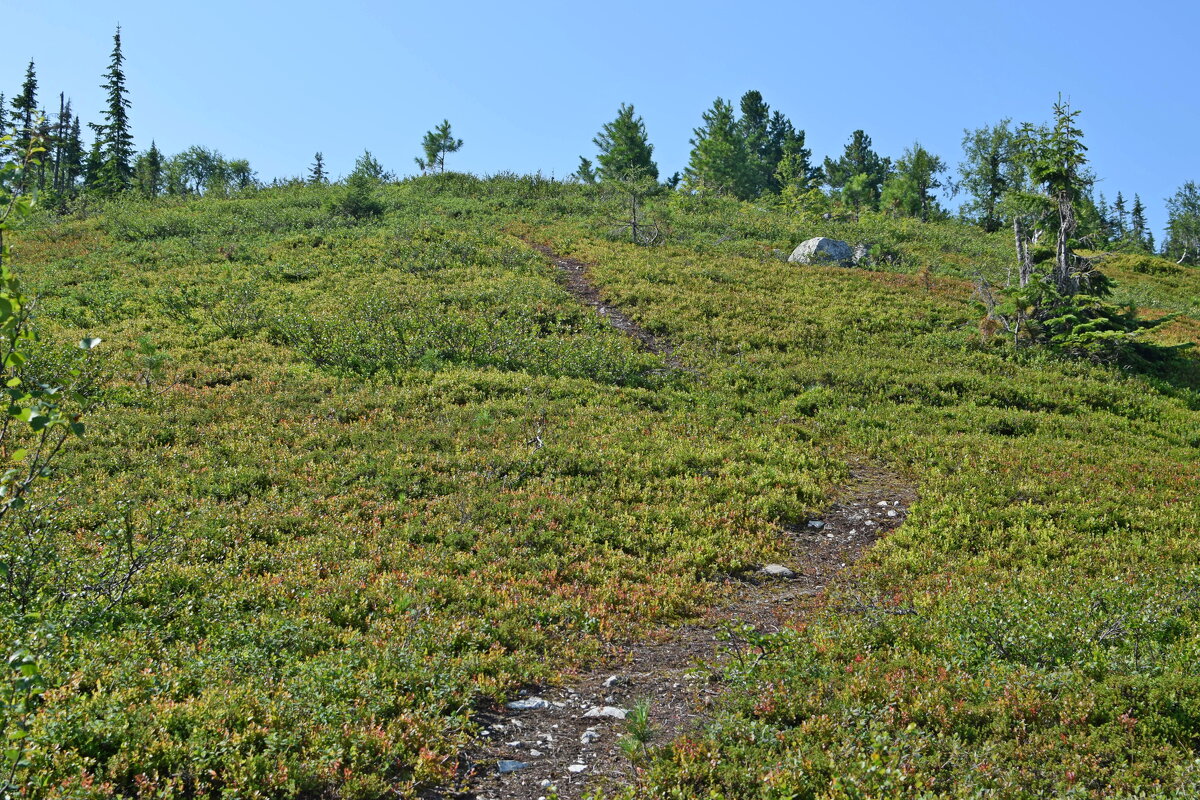 Тропа к вершине. - ВикТор Быстров