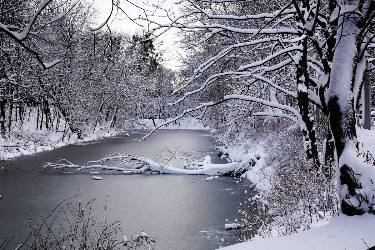 Парк Южный, Калининград - Рита Симонова