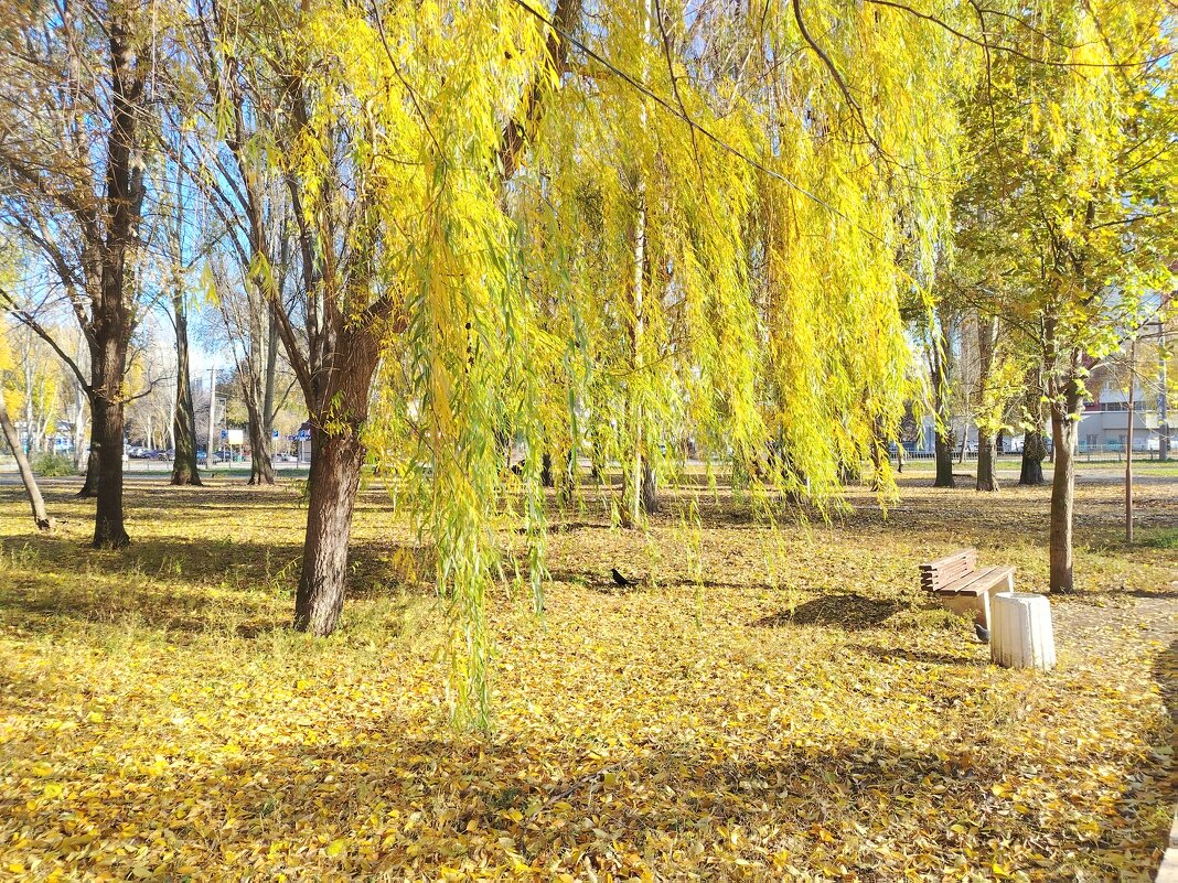 Осенний денек - Надежда 