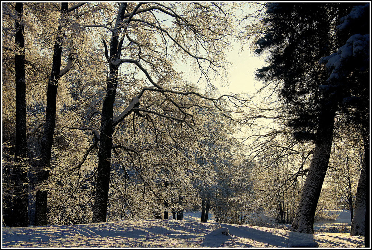 *** - Aleksandr Gal *** - Aleksandr Gal