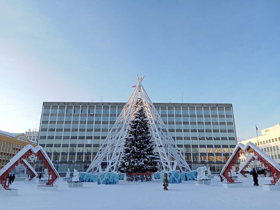 Ёлка днём - Виктор Ёлка днём - Виктор