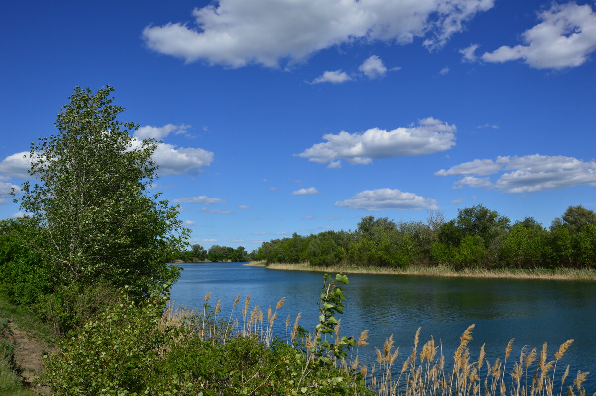 Местные виды. - Виктор 