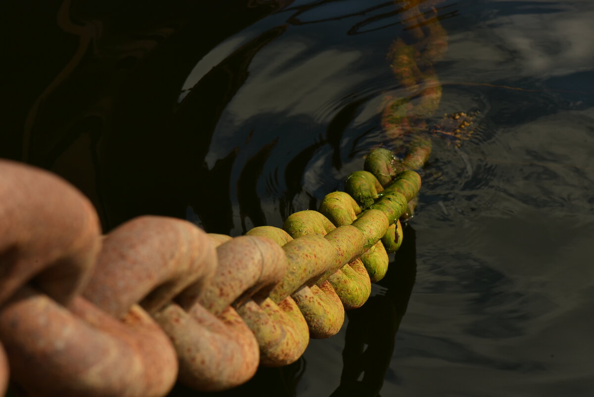 цепи - Андрей C