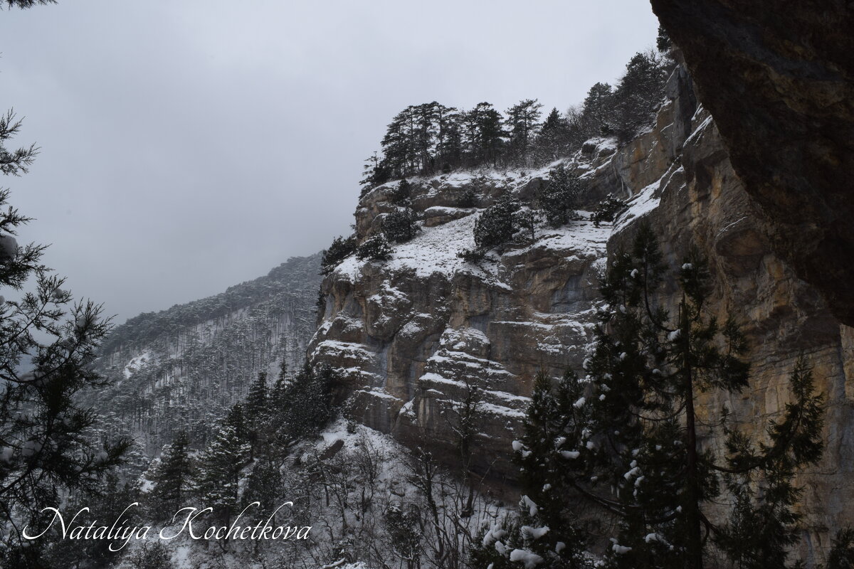 Природа Крыма - Amazing Cosmea
