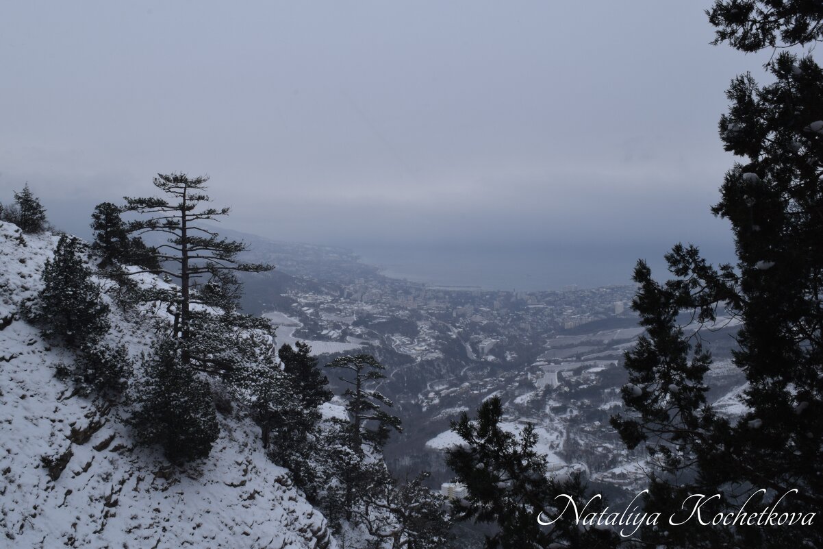 Природа Крыма - Amazing Cosmea