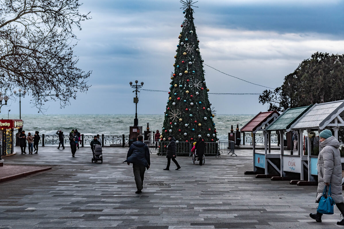 елка на набережной - Дмитрий Лупандин