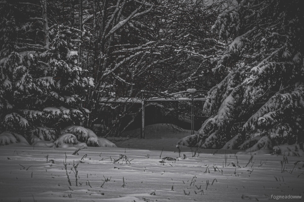 без названия - fogmeadowww m