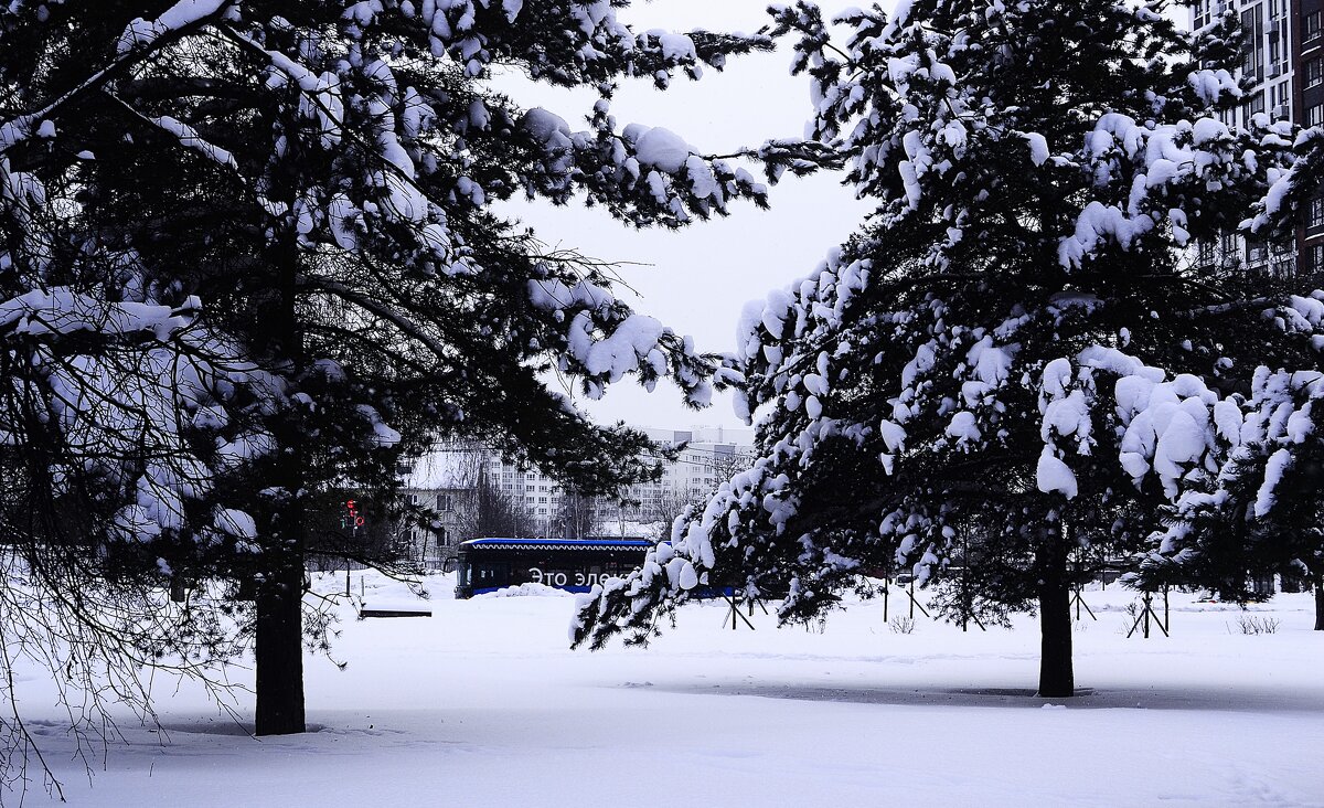 Снежный маршрут. - Василий Палий Снежный маршрут. - Василий Палий