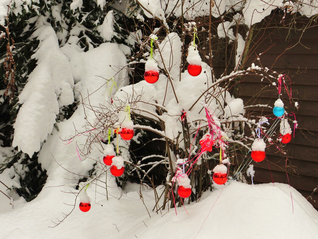 Наряженный кустик - Андрей Снегерёв