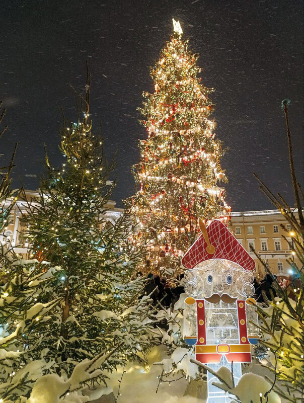 Ёлка на Дворцовой площади - Анастасия Софронова