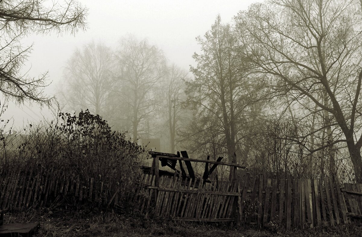 Старый забор - Марина 