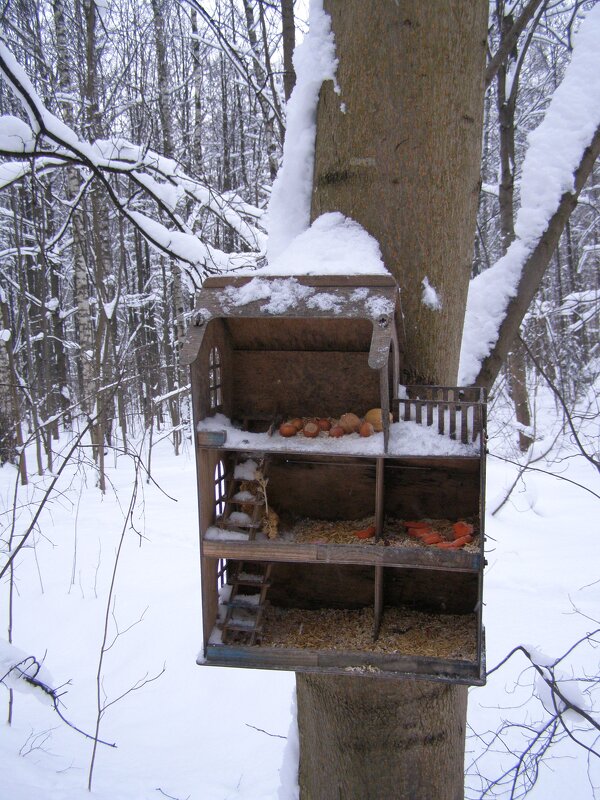 Кормушка - многоэтажка - Анна Воробьева