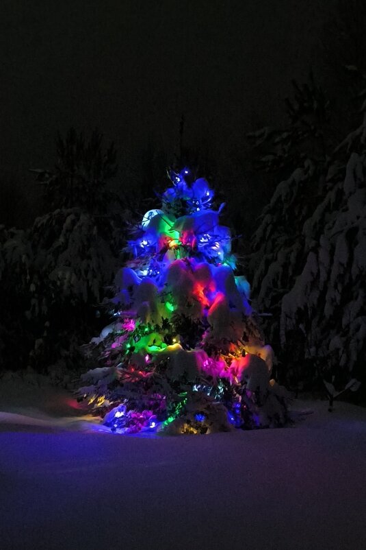 Старый новый год - Александр Сансар