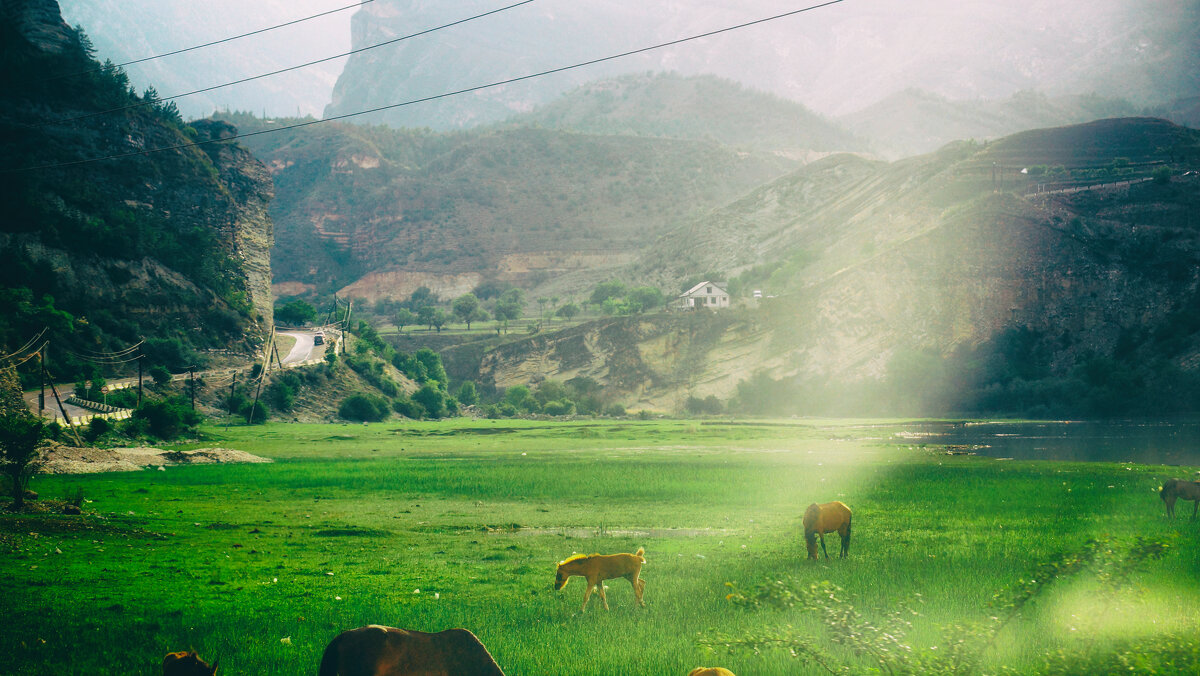 Лошадки - Татьяна Маркова