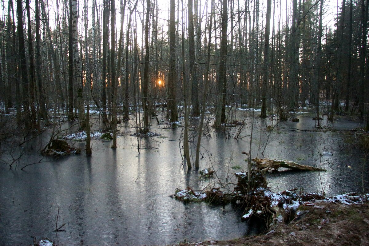 Парк Александрия - Наталья Герасимова