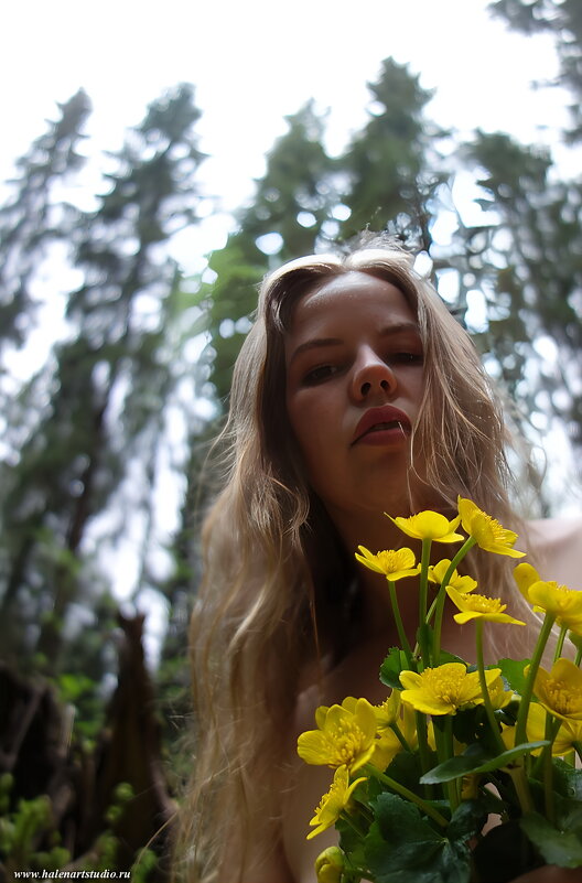 Есения - Игорь Корф