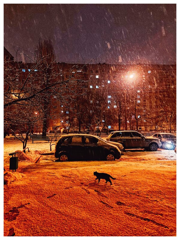 Миша. - Валентина M