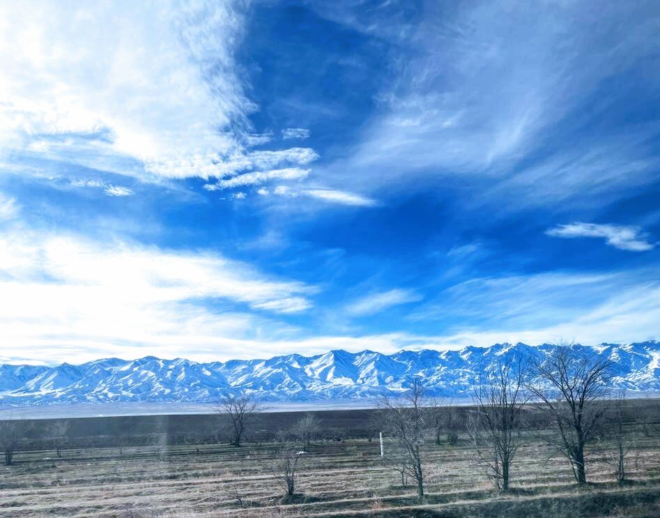 Горная страна - Георгиевич 