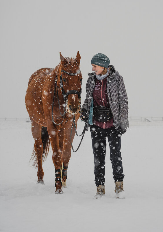 Прогулка на конюшне во время снегопада. - Павел Крутенко