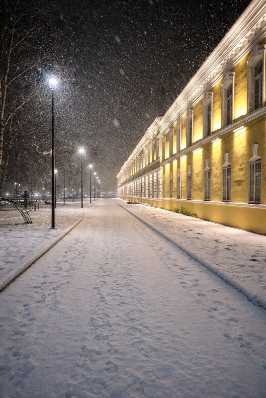 Прогулка по городу - Дмитрий Колесников