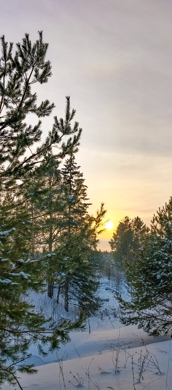 День сменяется вечером... - Леонид Абросимов
