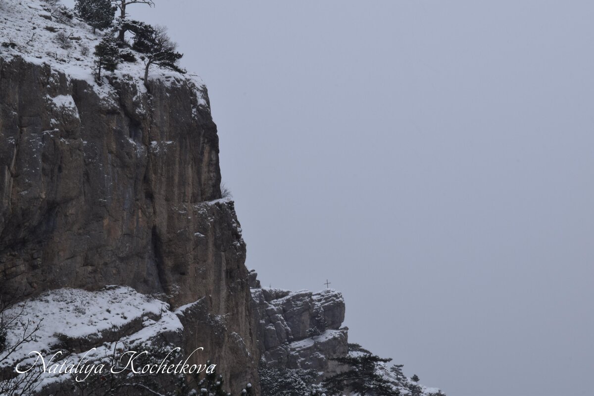 Природа Крыма - Amazing Cosmea