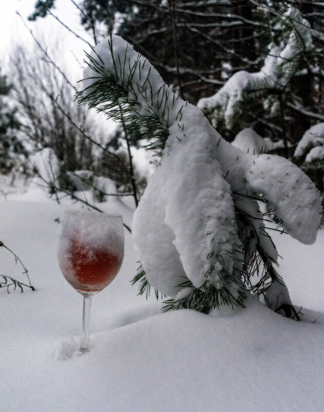 Вкус зимы - sorovey Sol