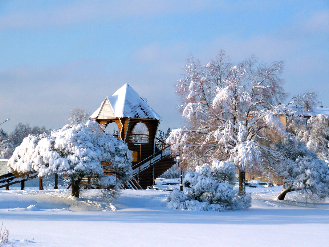 зимнее - Ольга зимнее - Ольга