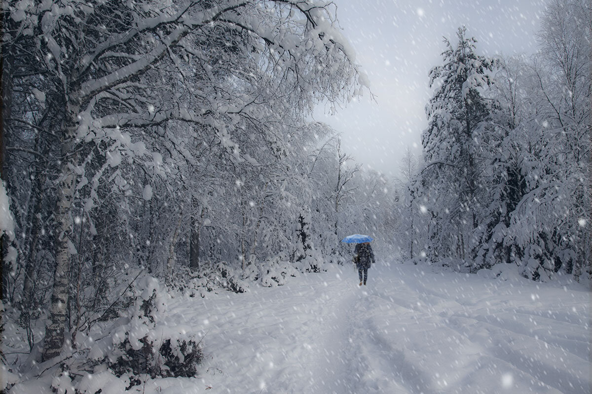 В городском саду падал снег, я по снегу к тебе иду.... - Владимир Чикота 
